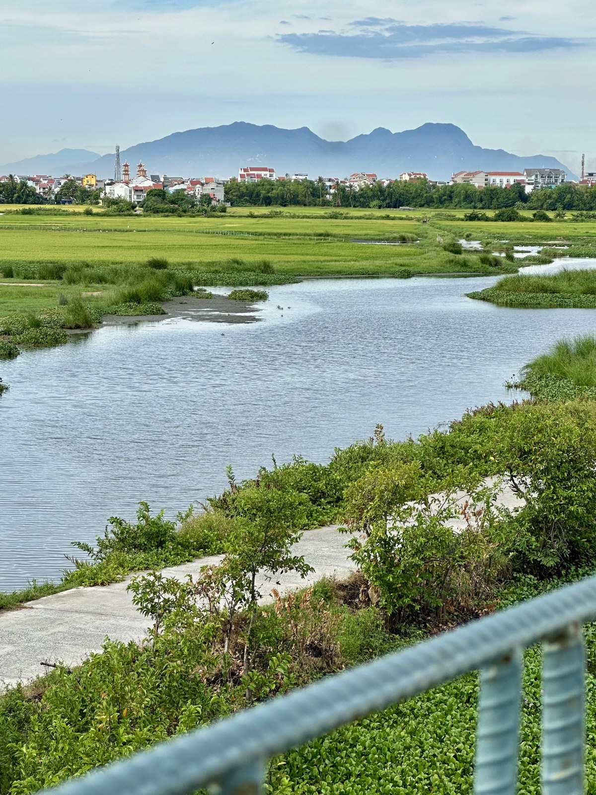 A river winding through green fields near Hội An, with distant mountains beneath a pale sky