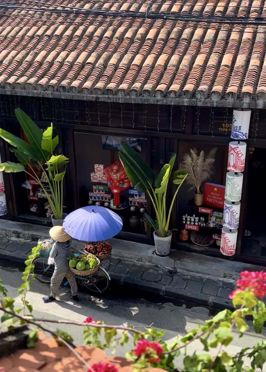 A woman beneath a purple umbrella pushing her bicycle past a tiled-roof shop in Hội An Ancient Town